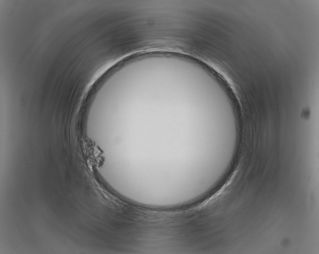 X0000116830925201001291640