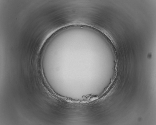 X0000116830926201001291640