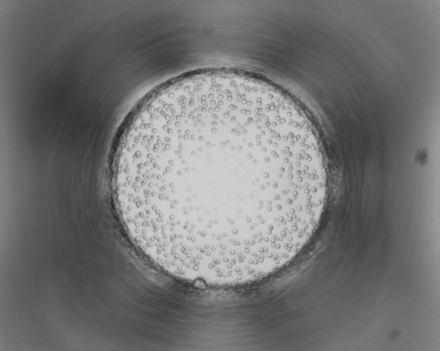 X0000116830927201001291640