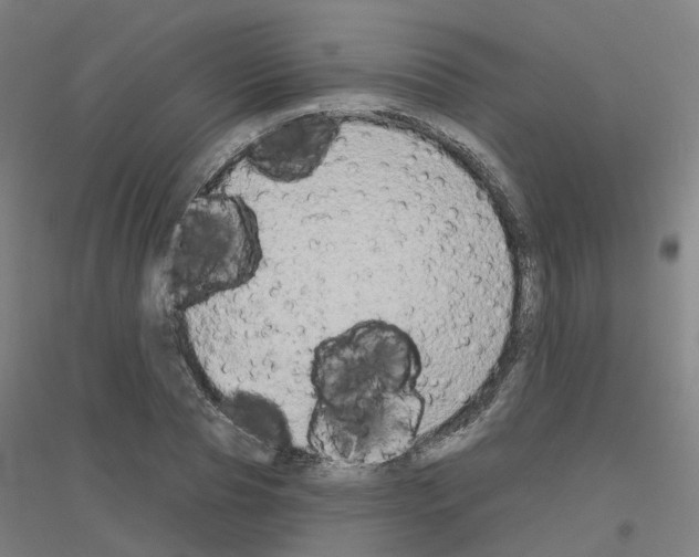 X0000116830929201001291640