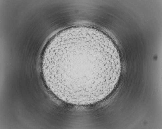 X0000116830931201001291640