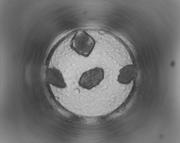 X0000116830933201001291640