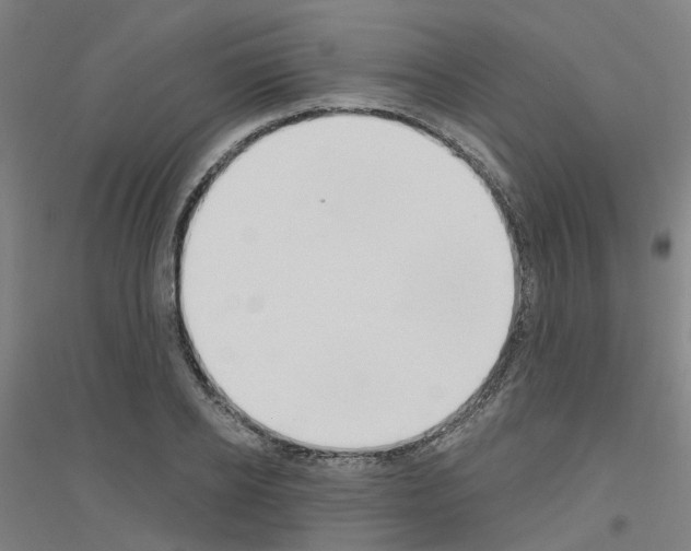 X0000116830934201001291640