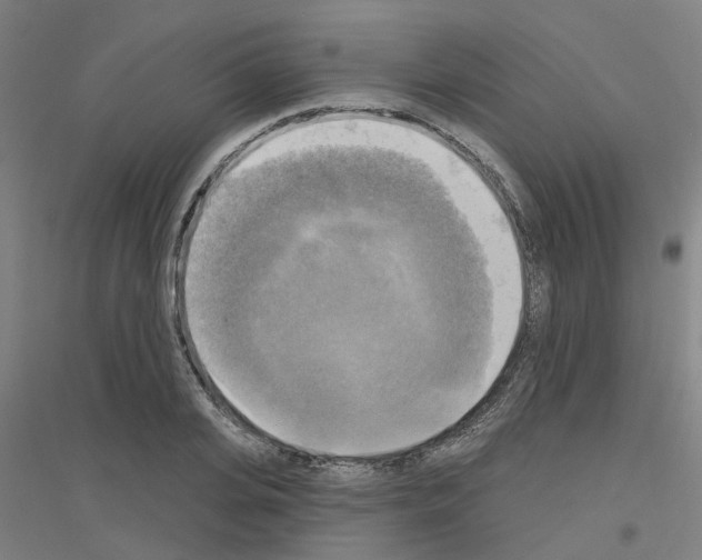 X0000116830935201001291640