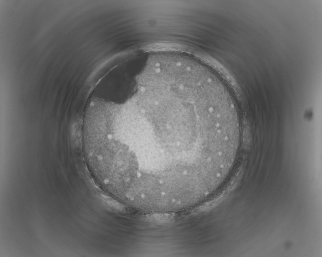 X0000116830937201001291640