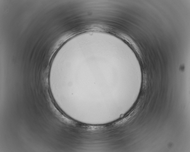 X0000116830938201001291640