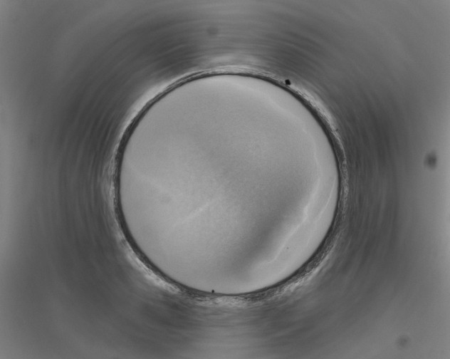 X0000116830941201001291640