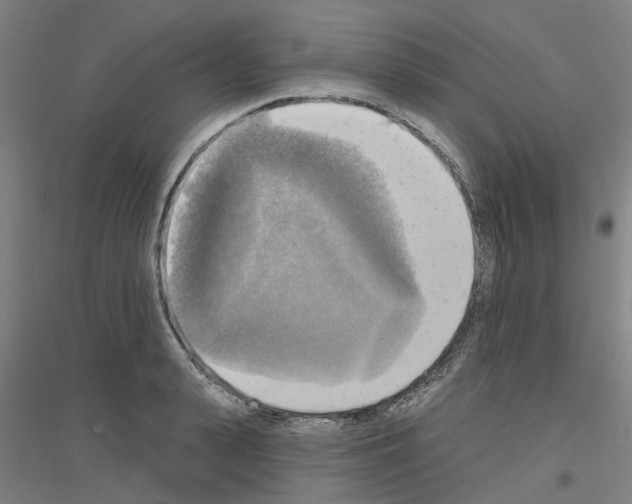 X0000116830943201001291640