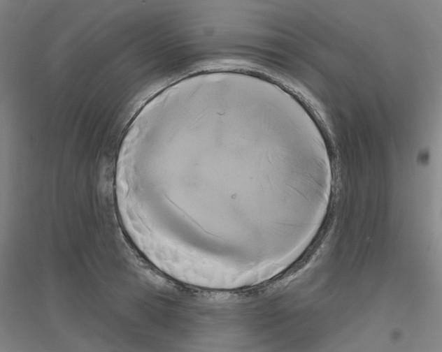 X0000116830945201001291640