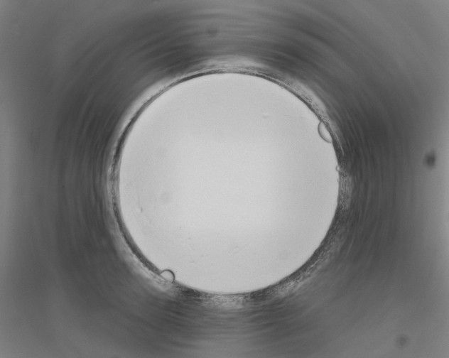 X0000116830947201001291640