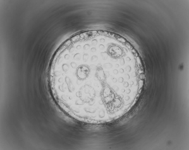 X0000116830949201001291640