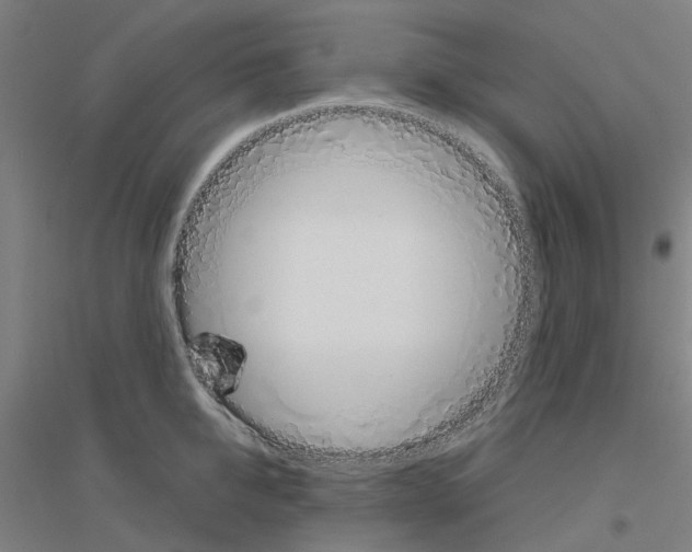 X0000116830950201001291640