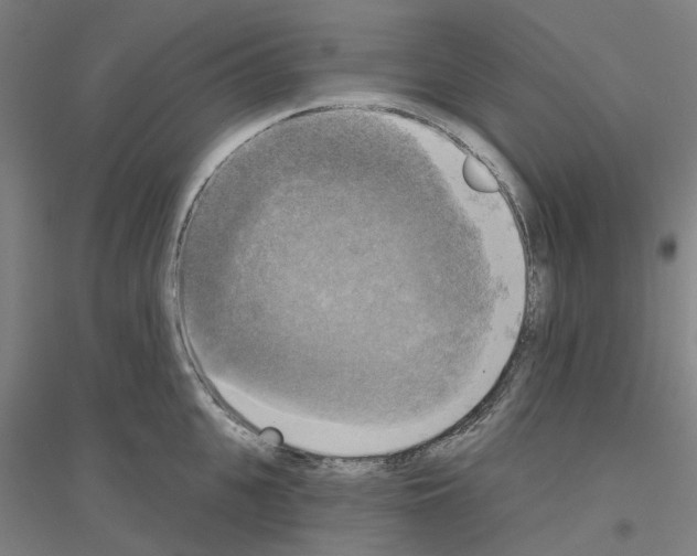 X0000116830951201001291640