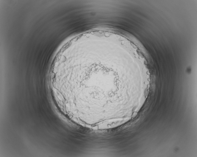 X0000116830955201001291640