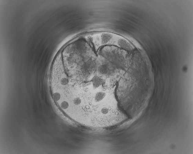 X0000116830957201001291640