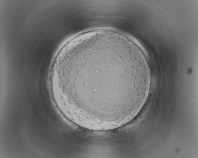 X0000116830959201001291640