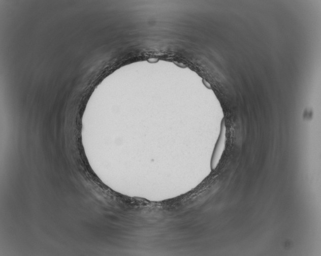 X0000116830961201001291640