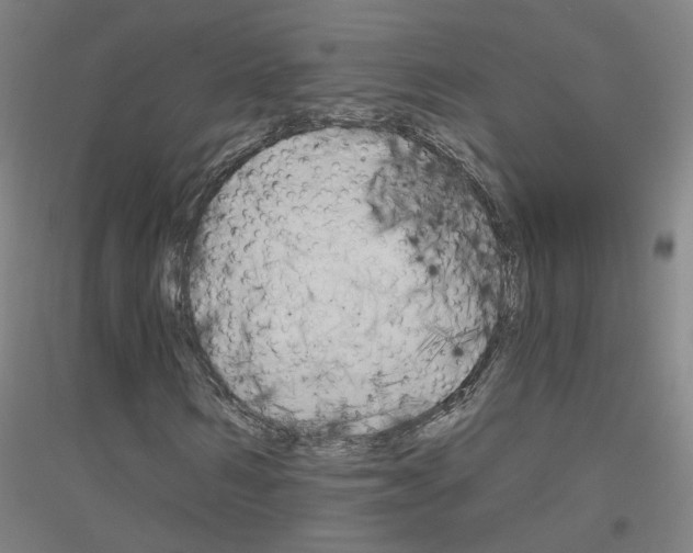 X0000116830962201001291640