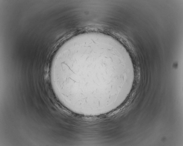 X0000116830964201001291640