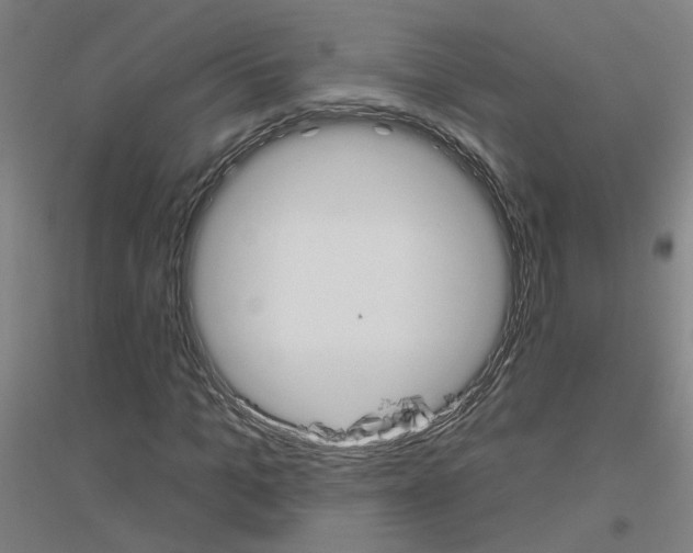 X0000116830965201001291640