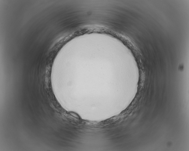 X0000116830967201001291640