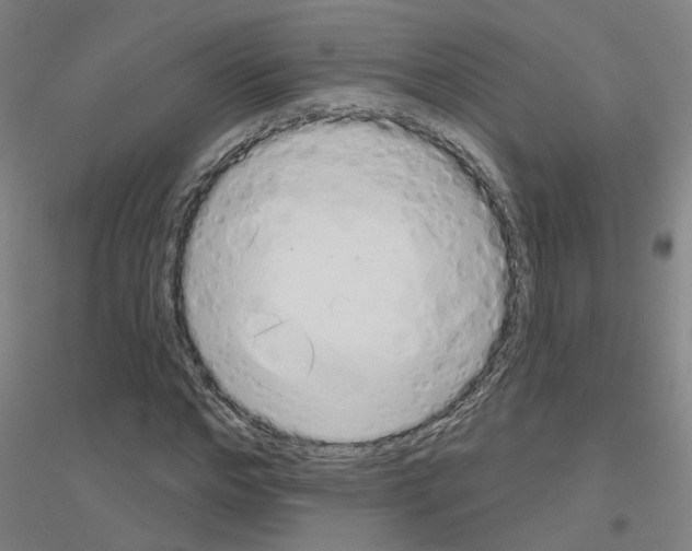 X0000116830968201001291640