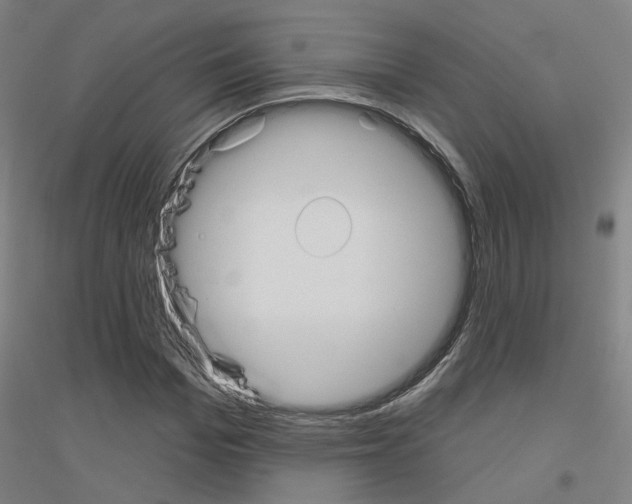 X0000116830969201001291640