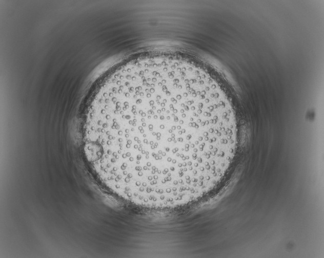 X0000116830970201001291639