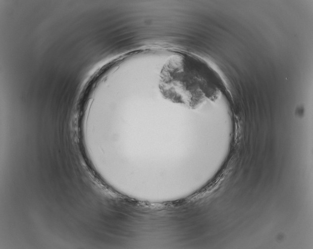 X0000116830971201001291639