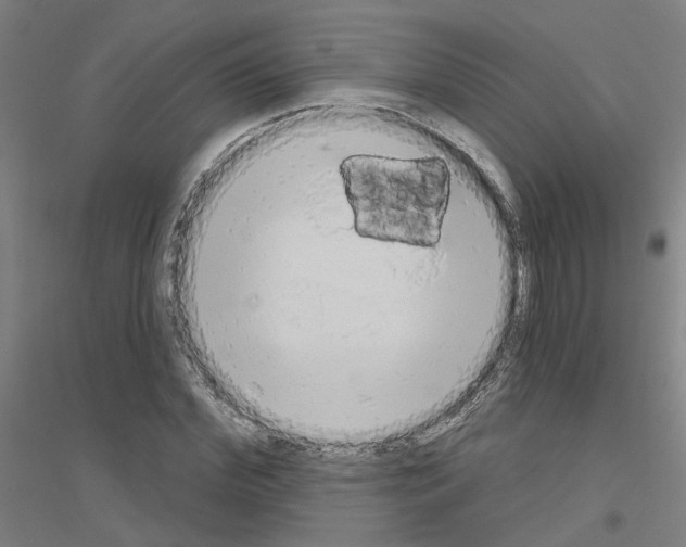 X0000116830972201001291639