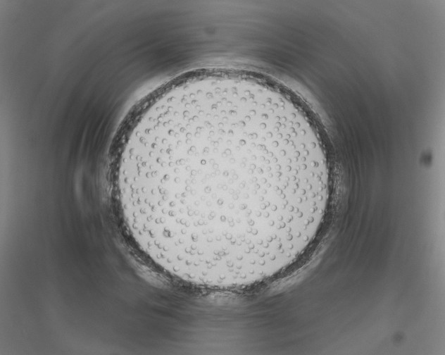 X0000116830974201001291639