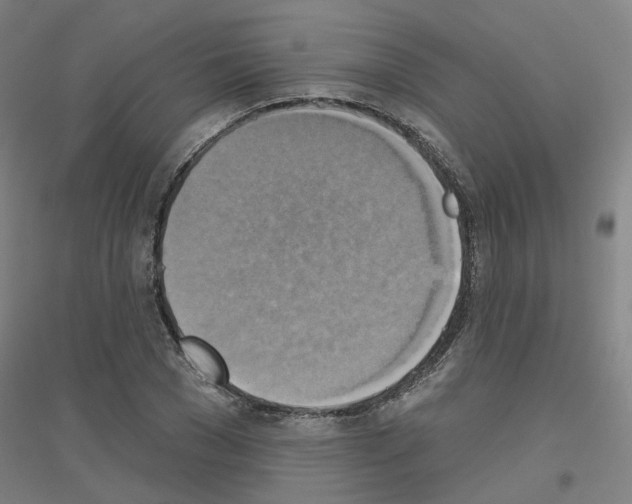 X0000116830977201001291639