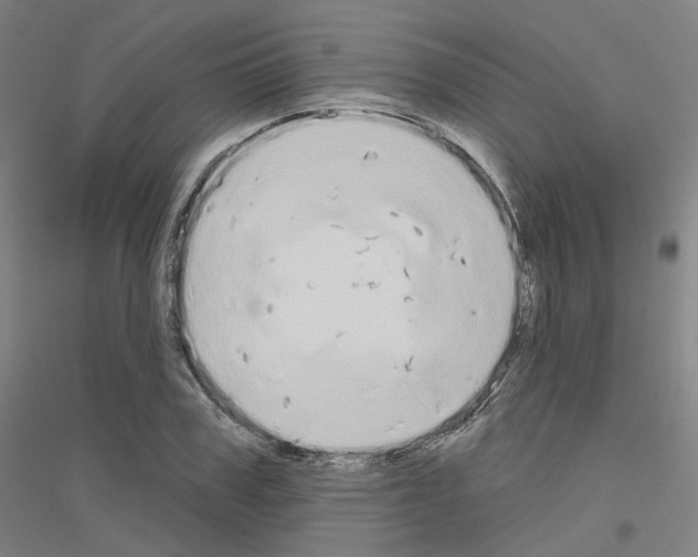 X0000116830979201001291639