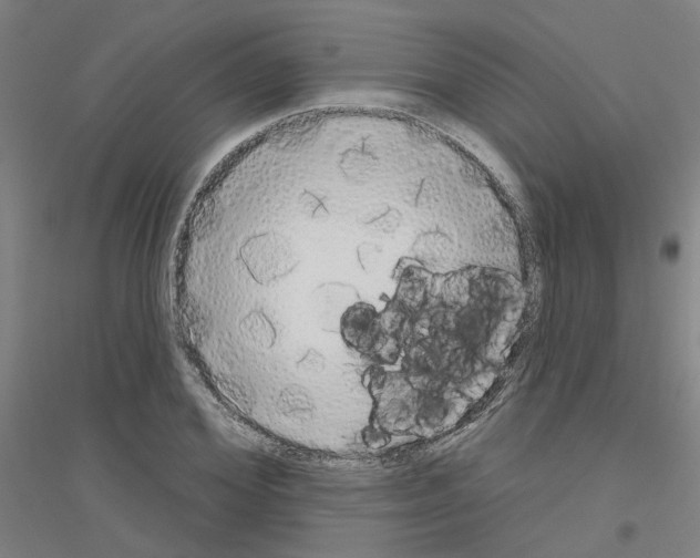 X0000116830980201001291639