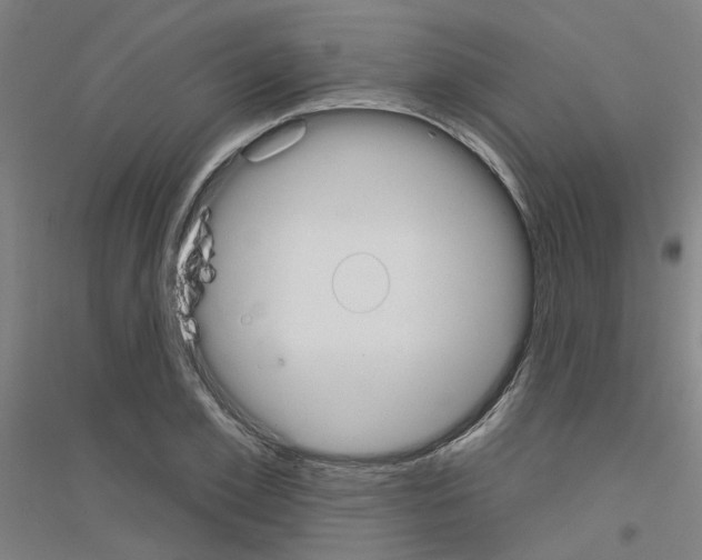 X0000116830981201001291639