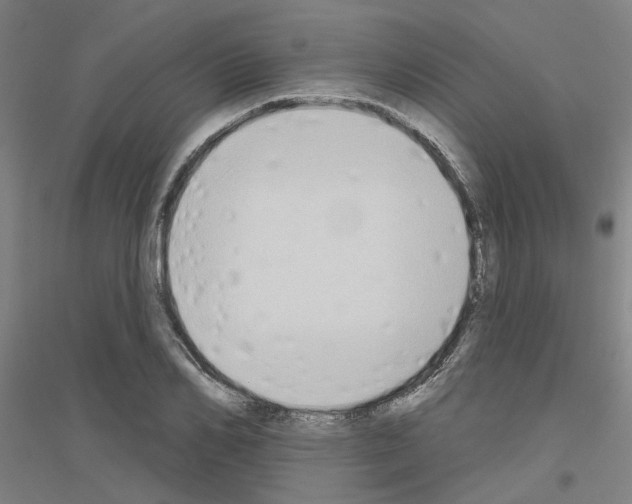 X0000116830982201001291639