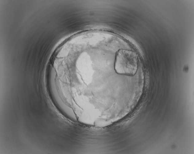 X0000116830983201001291639