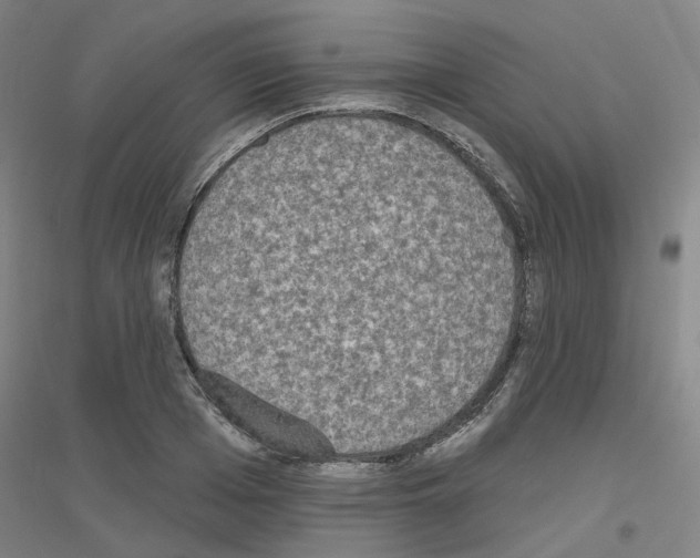 X0000116830985201001291639