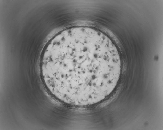 X0000116830986201001291639