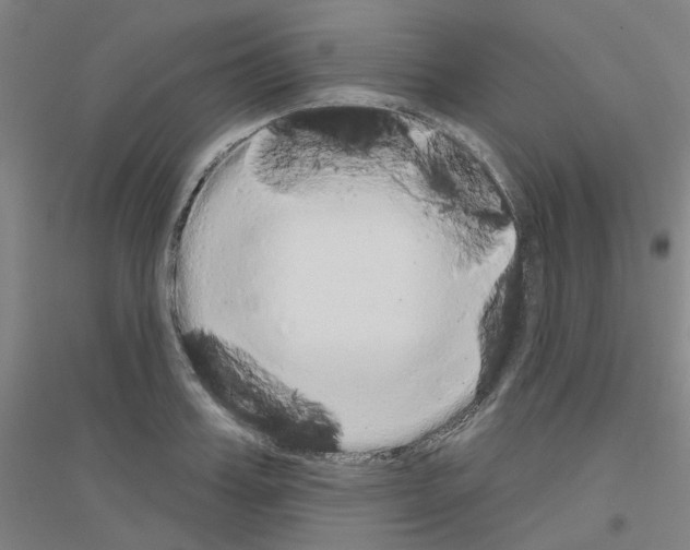 X0000116830987201001291639