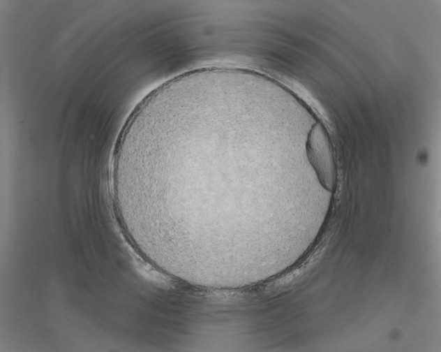 X0000116830988201001291639