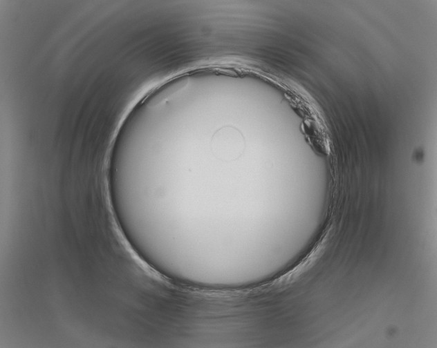 X0000116830989201001291639