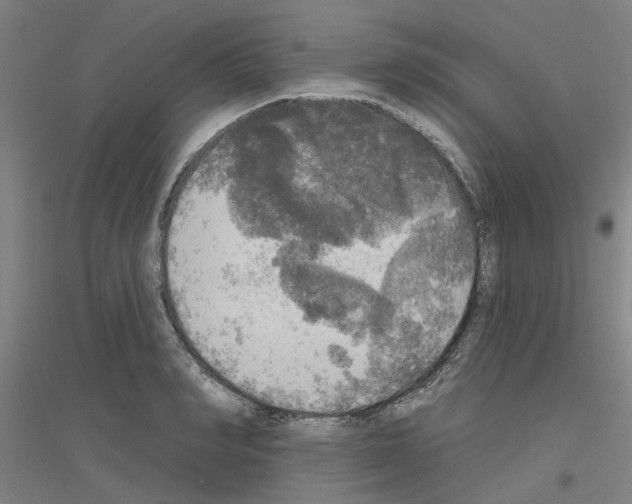 X0000116830990201001291639