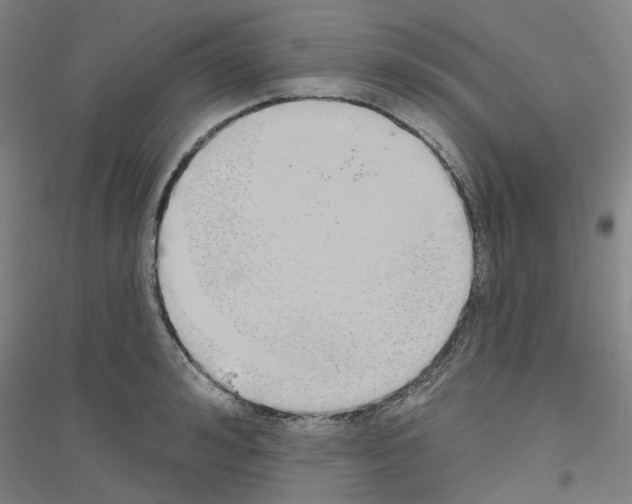 X0000116830992201001291639