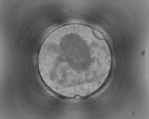 X0000116830993201001291639