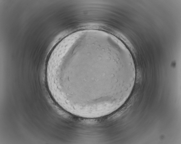 X0000116830994201001291639