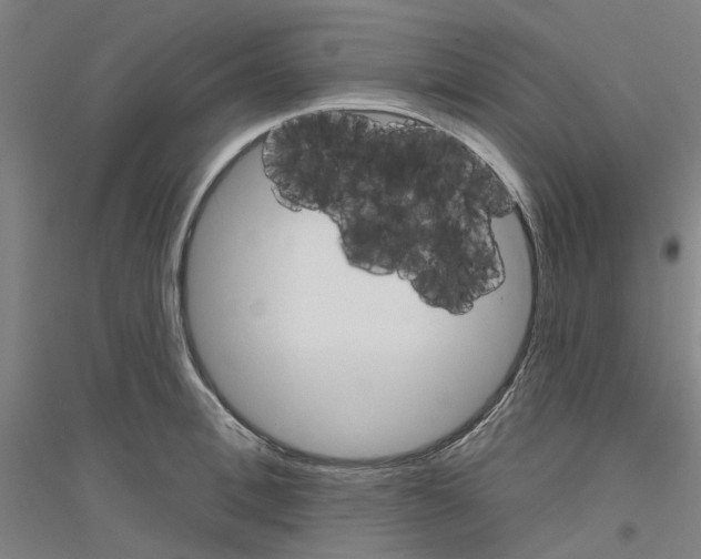 X0000116830996201001291639