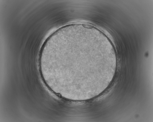 X0000116830997201001291639