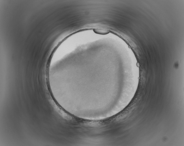 X0000116830998201001291639