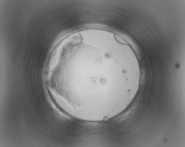 X0000116830999201001291639